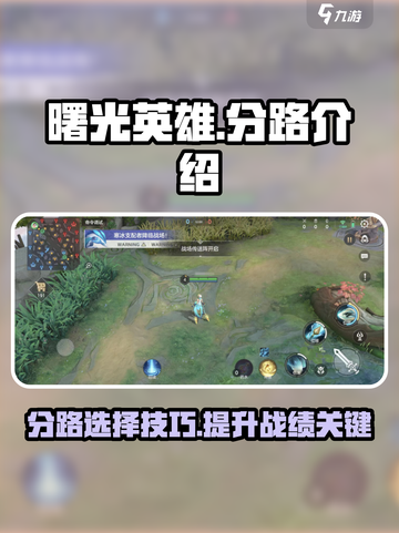 曙光英雄分路有哪些介绍截图1