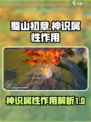 蜀山初章神识有什么用介绍