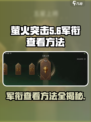 萤火突击军衔查看方法🔥游戏秘籍等你来发现！