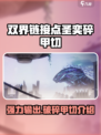双界链接点圣奕碎甲切怎么样介绍
