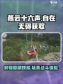 燕云十六声自在无碍怎么样介绍