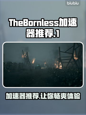 TheBornless加速器哪款好？玩游戏不卡必备神器！🎮🔥截图1