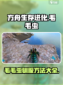 方舟终极移动版毛毛虫如何驯服介绍