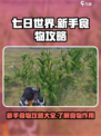 七日世界手游新手食物攻略介绍