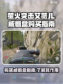 萤火突击艾薇儿威慑盒怎么买介绍