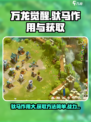 万龙觉醒驮马有什么用介绍