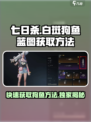 七日世界白斑狗鱼蓝图在哪介绍