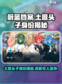 蔚蓝档案土匪头子是谁介绍
