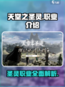 天堂之圣灵职业介绍介绍