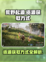 荒野起源资源怎么获得介绍