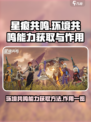 星痕共鸣环境共鸣能力怎么获取介绍