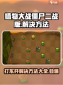 植物大战僵尸二战版打不开怎么办介绍