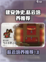 建安外史赵云培养推荐介绍
