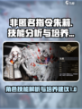 非匿名指令朱莉技能详解介绍