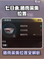 七日世界猪肉在哪里采集介绍