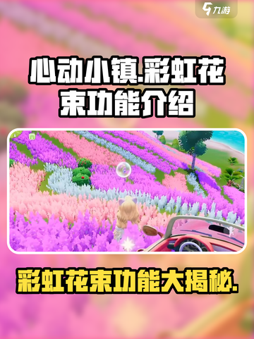 心动小镇彩虹花束有什么用介绍截图1