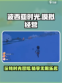 玩过《波西亚时光》的都震惊了！🔥超好玩📖