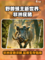 野兽领主新世界有疣猪吗介绍