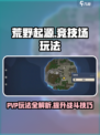 荒野起源PVP怎么玩介绍