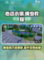 心动小镇怎么捕虫介绍