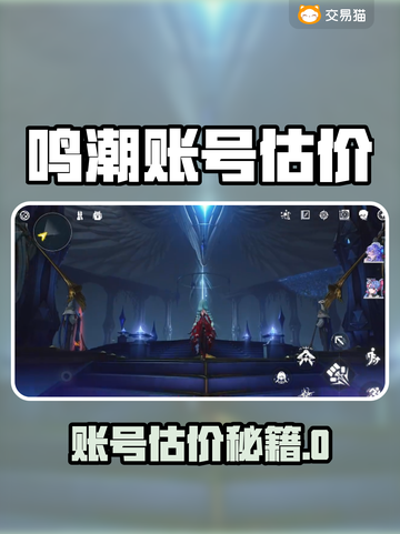 🔥《鸣潮》账号值多少？估价神器曝光！💥🎮截图1