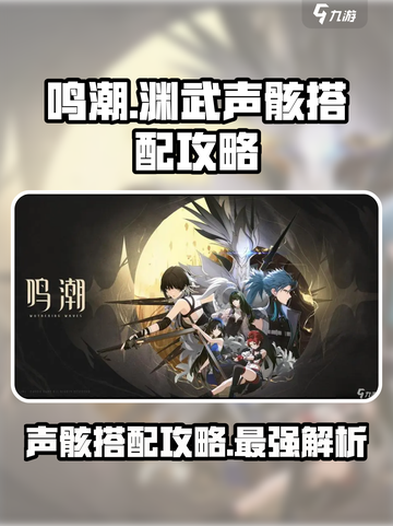 鸣潮🔥渊武声骸最佳搭配攻略来啦！快来抄作业✨截图1