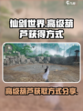 仙剑世界高级葫芦怎么获得介绍