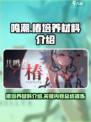鸣潮🔥椿培养材料大揭秘！玩家必看💎