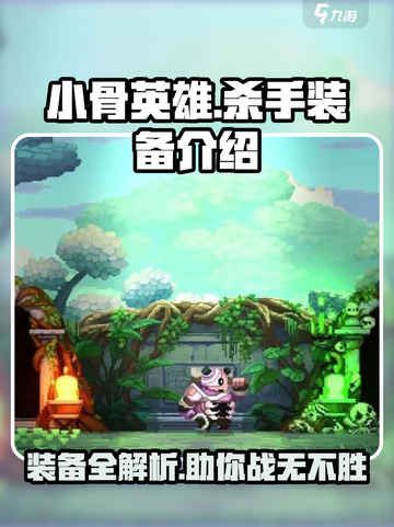 小骨英雄杀手装备一览表介绍截图1