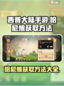 西普大陆手游哈尼熊怎么获取介绍