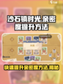 沙石镇时光💍快速提升结婚亲密度秘籍！⚡