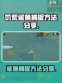 挨饿荒野鲨鱼怎么抓介绍