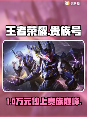 王者荣耀贵族10仅需888！💰💥截图1