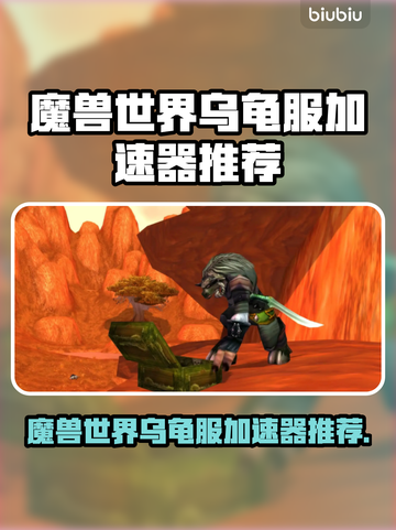 🔥魔兽世界乌龟服加速器推荐！🚀截图1