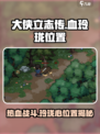 大侠立志传血玲珑位置介绍