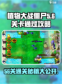 植物大战僵尸杂交版56关🔥通关秘籍💡