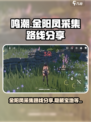 鸣潮🔥金阳凤采集路线全揭秘！速来👇