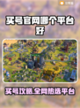 🔥买号官网TOP榜！游戏账号交易必看💥🎮