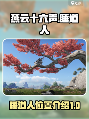 燕云十六声睡道人在哪介绍截图1