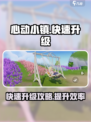 心动小镇如何快速升级介绍