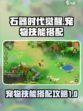 石器时代觉醒宠物技能攻略介绍