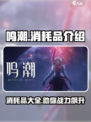 鸣潮🔥消耗品全解析！游戏必备⚡快来看看！
