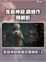 龙息神寂精通什么作用介绍