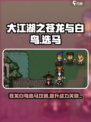 大江湖之苍龙与白鸟马怎么选介绍