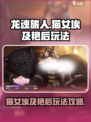龙魂旅人猫女怎么样介绍