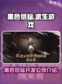 黑色信标游戏是哪个公司介绍