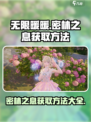 无限暖暖密林之息怎么获取介绍