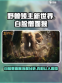 新世界野兽领主白脸僧面猴🔥强度逆天必刷！