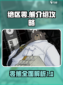 绝区零熊介绍介绍