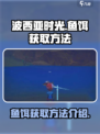 波西亚时光鱼饵怎么搞介绍